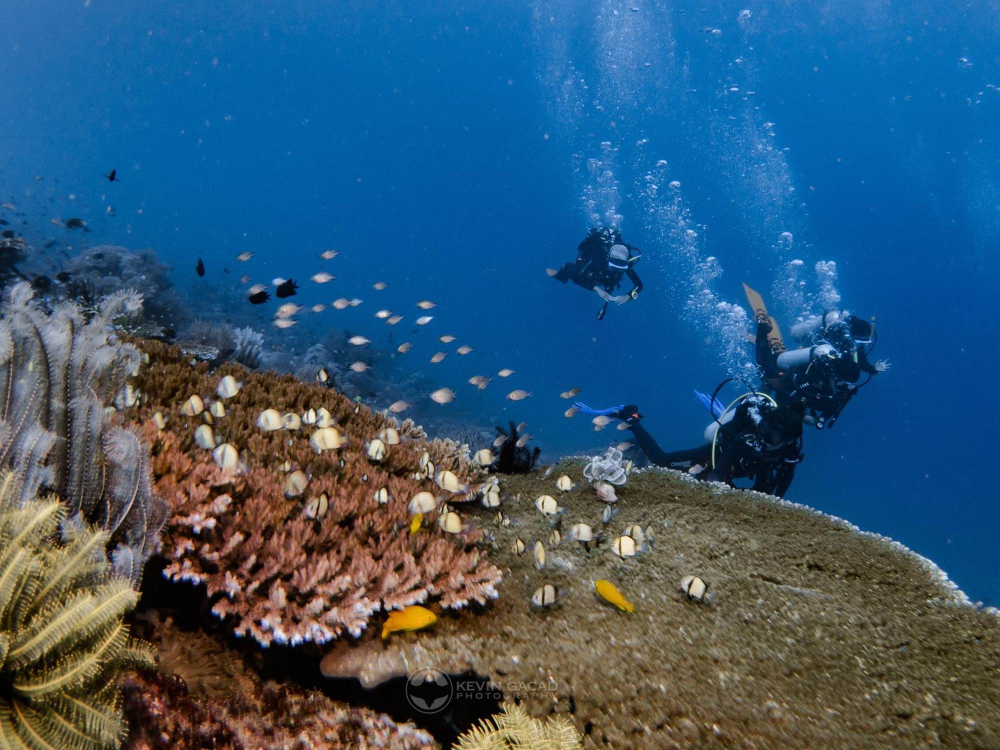 Badladz Beach And Dive Resort Пуерто-Галера Екстер'єр фото
